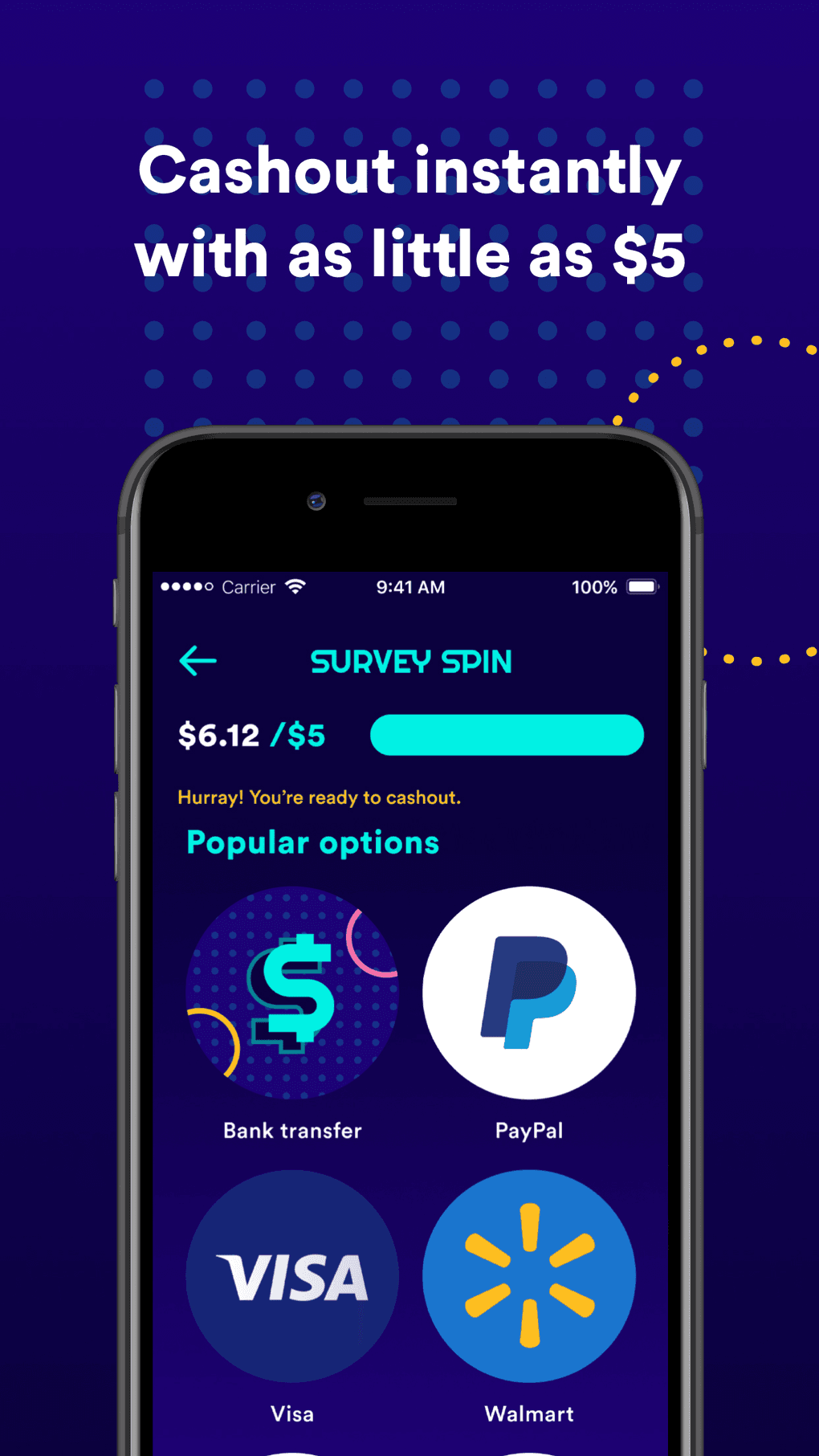 survey-spin-screenshot.png
