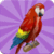 Birds Memory Game Free