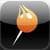 FirePin Trip Tracker