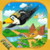 Crazy Bird Race