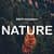 NANDA Nature - Wallpaper Nature 4K