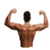 Healthy Shoulder
