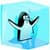 Flying the penguin