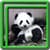 Cute Panda Live Wallpapers