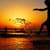 Amazing Sunrise views Live Wallpaper