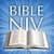 NIV  Version