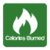 Burned Calories Calculator