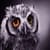 owl livewallpaper