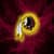 Washington Redskins Fan