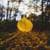 Autumn pictures 4K