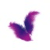 Feather Chat