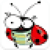 Rush Beetle Game