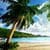 Exotic Island Live Wallpaper