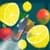 Fruit Master earn money 2919