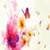 Colorful Butterfly Rose Live Wallpaper