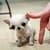 No1 Funny Videos App