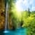 HD Nature Wallpapers - Auto Change