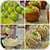 Diy Tutorial: Sweet Ideas