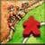 Carcassonne excess