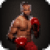 Box Fighters 3D