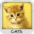 Cats Wallpapers by Nisavac Wallpapers