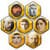 Family Tree for Android