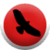 NewsTweets