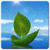Full Nature hd Wallpaper
