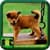 Dog Bed Images
