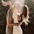 Romantic Couple Live Wallpaper