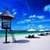 The Magnificent Tropical beach Live wallpaper