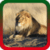 Lion Ringtones Ringtones