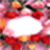 Flower photo frame pic