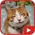 Funniest Animal Video