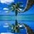 Palm Tree on the Beach with Glitter Effects