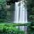 Jungle Waterfall Live Wallpaper