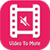 Video Mute
