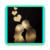 LoveGif Stickers