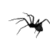Dont Touch the Spider