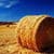 The Palouse Fields Live Wallpaper
