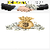 Earn money 2022