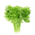 Benefits of Celery