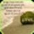 Love Shayari hd
