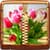 Beautiful Tulips Zipper Lock