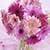 1086 Flowers Wallpapers
