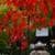 Magical Nature HD Wallpaper
