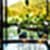 Pic of Green hill photo frame images