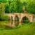 Glorious river and bridge Wallaper HD