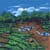 Most Natural Village