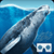 Sea World VR2
